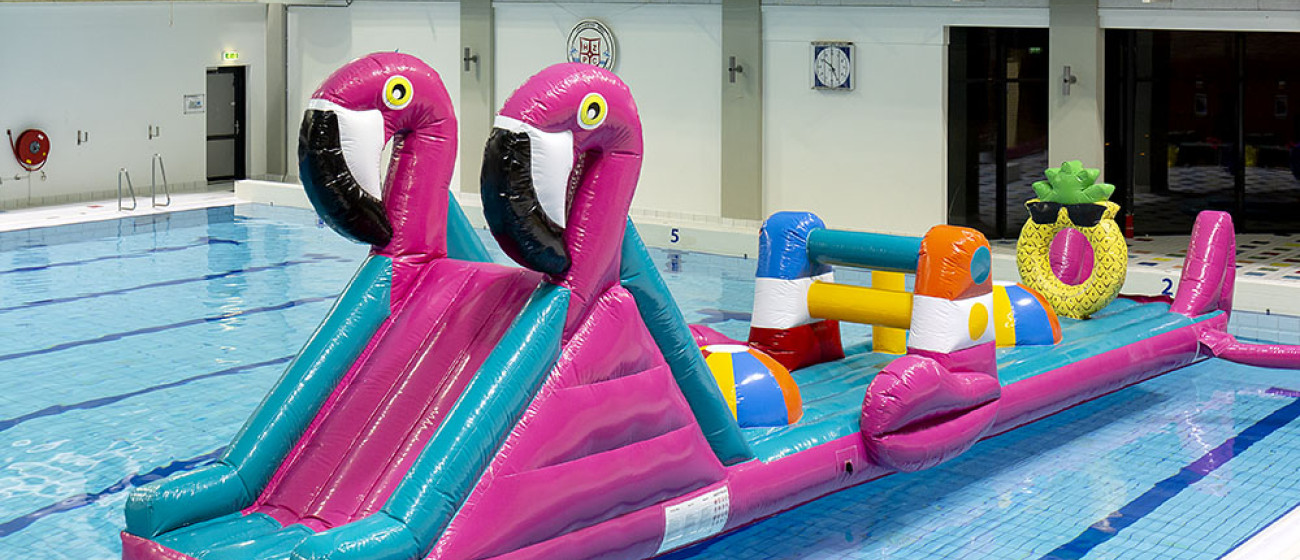 Zwembadrun Flamingo.jpg