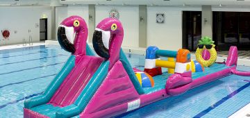 Zwembadrun Flamingo.jpg